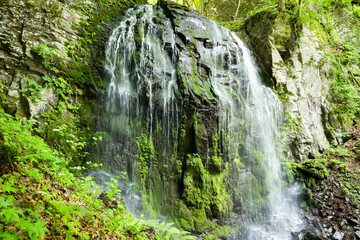 新緑の森の中と滝