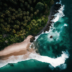 sandy beach, bay, view from above, palm island 
 - obrazy, fototapety, plakaty