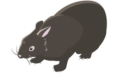 南国奄美のアマミノクロウサギ　リアル調