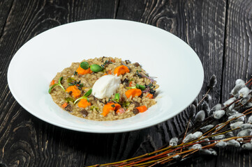 risotto with vegetables and cheese in a plate macro on a dark background with willow
