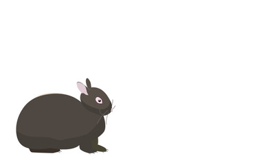 南国奄美のアマミノクロウサギ　コピースペース