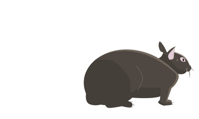 南国奄美のアマミノクロウサギ　コピースペース