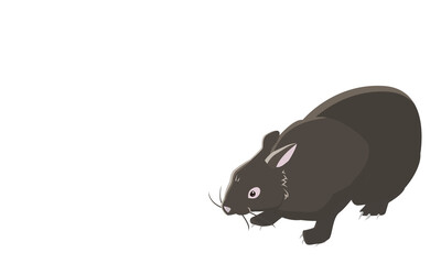 南国奄美のアマミノクロウサギ　コピースペース