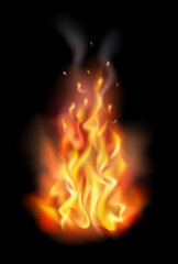 flames from a campfire on a black background