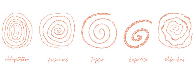 Rose gold outline doodle art  spiral swirl