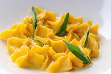 cooked ravioli decorated with greens in a white plate, macro photo
