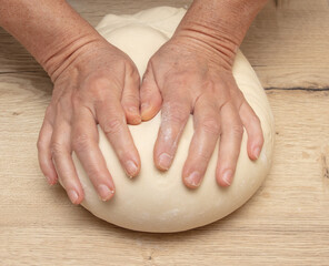 Hand kneading flour dough.