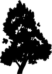 decoration side view tree illustration.