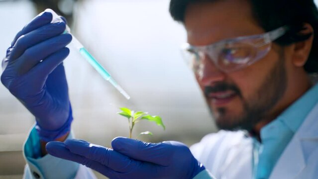 close up head shot of agro scientist adding chemicals to plant by holding in hand with soil - concept of research, invention or biotechnology and inspection