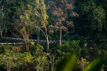 Mountain road with iron guardrail among lush greenery.