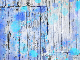 Authentic old worn white peeling painted wall boards with colorful splashes of blue paint for a paint splatter textured background with copy space, negative space on right.