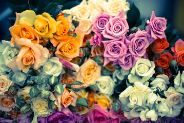 Obraz na płótnie Canvas Colorful bunches of roses