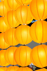 Fototapeta premium Chinese yellow lantern (Decoration for Chinese new year festival.)