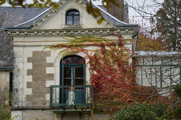 closeup of an old house facade in autumn with colorful ivy creeping up in France