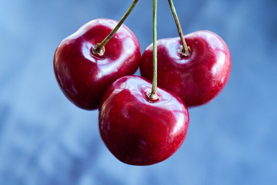 Ripe large cherry on a blue background