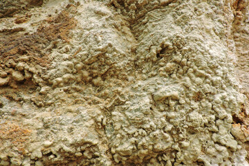 A brown and orange sedimentary rock containing sulfur and pyrite