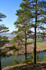 Naturschutzgebiet Grainberg-Kalbenstein am Main bei Karlstadt, Landkreis Main-Spessart,...