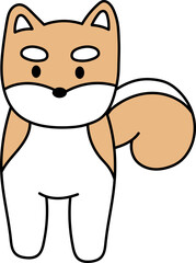 ほっこりかわいい柴犬2