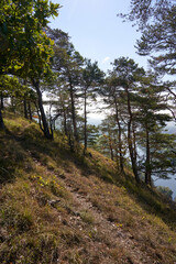Obraz premium Naturschutzgebiet Grainberg-Kalbenstein am Main bei Karlstadt, Landkreis Main-Spessart, Unterfranken, Bayern, Deutschland