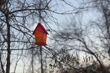 A birdhouse hung from tree branches in winter. 