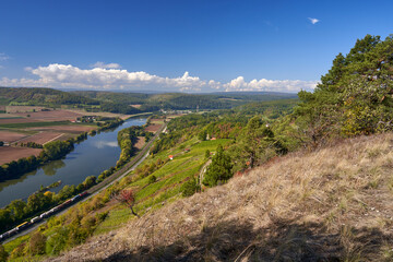 Obraz premium Weinbergterassen zwischen Gambach und Karlstadt im Naturschutzgebiet Grainberg-Kalbenstein , Landkreis Main-Spessart, Unterfranken, Bayern, Deutschland