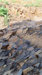 Rock formation in the forest