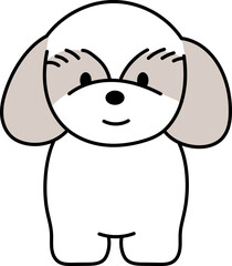 ほっこりかわいいシーズー