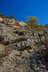 Naturschutzgebiet Grainberg-Kalbenstein am Main bei Karlstadt, Landkreis Main-Spessart, Unterfranken, Bayern, Deutschland