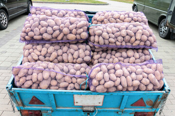 Selling potatoes in mesh bags at a farmer's market from a trailer. Autumn sale of vegetables.