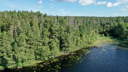 survol des lacs suédois dans la région de Dalécarlie, Scandinavie