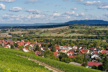 Fototapeta premium Weinlage Maustal beim Weinort Sulzfeld am Main, Landkreis Kitzingen, Unterfranken, Franken, Bayern, Deutschland.