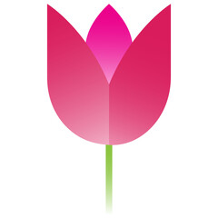 Obraz na płótnie Canvas flower tulip icon symbol PNG image