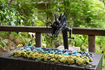 等々力渓谷、とどろき、渓谷、東京、日本、自然、オアシス、緑、木、水、川、等々力不動尊、神社、お寺、ふどうそん、公園、観光、マイナスイオン、東急大井線、湧き水、散策、お散歩、ウォーキング、お参り、参拝、橋、