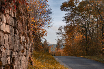 Kleine Straße mit Stützmauer im Herbst eingefasst von an einem Hang