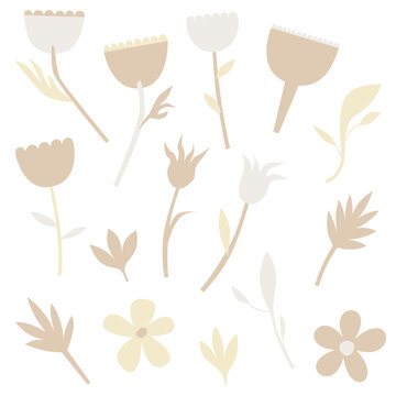 Neutral floral vector illustration set