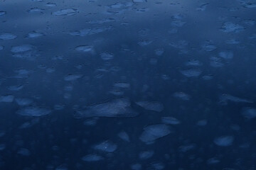 Sunset cruising on sea of Okhotsk