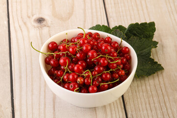 Ripe sweet organic red currant heap