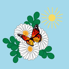 Vector image print of white daisies with green leaves, monarch butterfly and sun on a blue background for postcards, invitations and clothes. Graphic design.