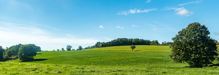 Rural landscape with meadows, trees, country road an blue sky with few clouds near Plauen city in Germany