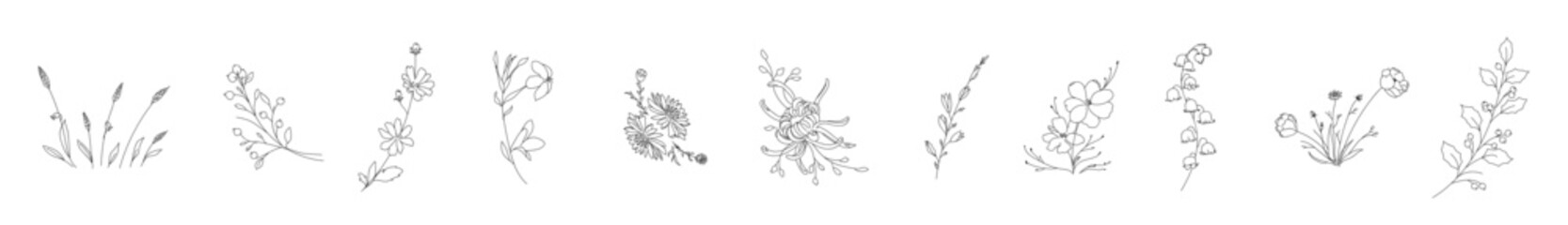 Botanical drawing. Minimal plant logo design,  flower abstract sketch element collection. Vector hand drawn wedding invitation bouquet decoration set. Journal, calendar, and frame design
