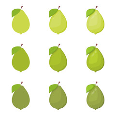 A vector drawn guava illustration with various colors and amount of details