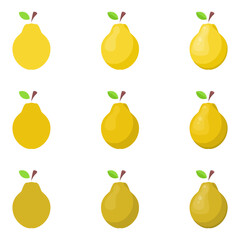 A vector drawn quince illustration with various colors and amount of details