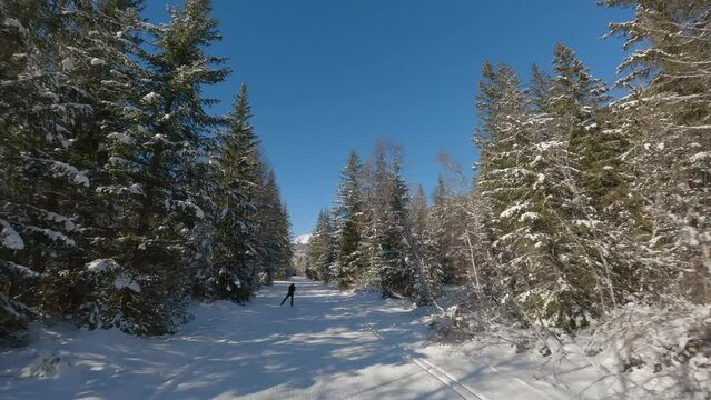 Aerial view of a cross-country ski trail in the middle of the woods with a lone skier in the middle of a snowy forest