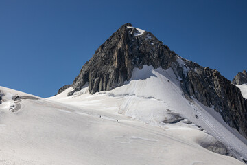 Alpinisti che attraversano il Mer de glace, Monte Bianco.