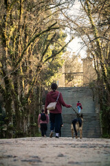 Andreia and Milú went to the park on a beautiful Autumn sunny afternoon. There, Milú met her good friend Pipo, the Beagle. Later, when they returned home, Andreia played a bit with her hamster Noé.