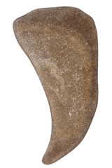 Top view of single brown pebble