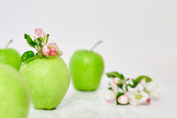 Flat lay Apple flowers and ripe green apples on a white background, Fruits and flowers, sping concept. Top view