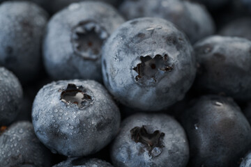 Fresh clean blueberries with drops of water macro shot