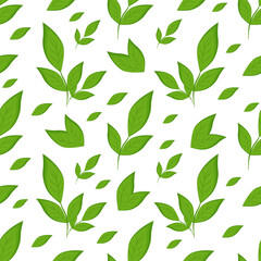 Green leaves. Seamless background, texture. Vector