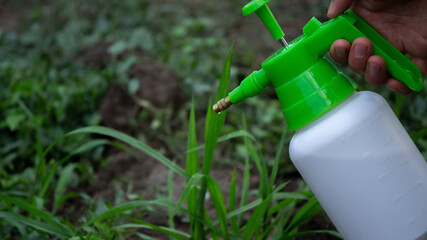 farmer sprays weeds in the garden. Selective focus.